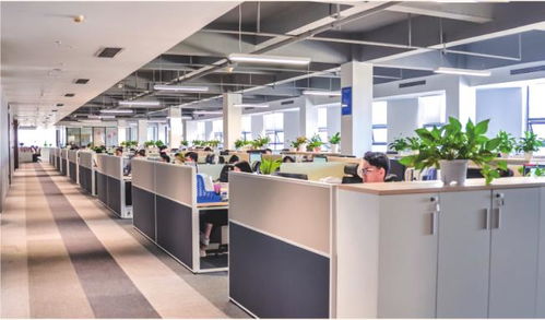 统筹规划与技术创新 以房地一体确权登记系统为核心的乡村房地管理新路径